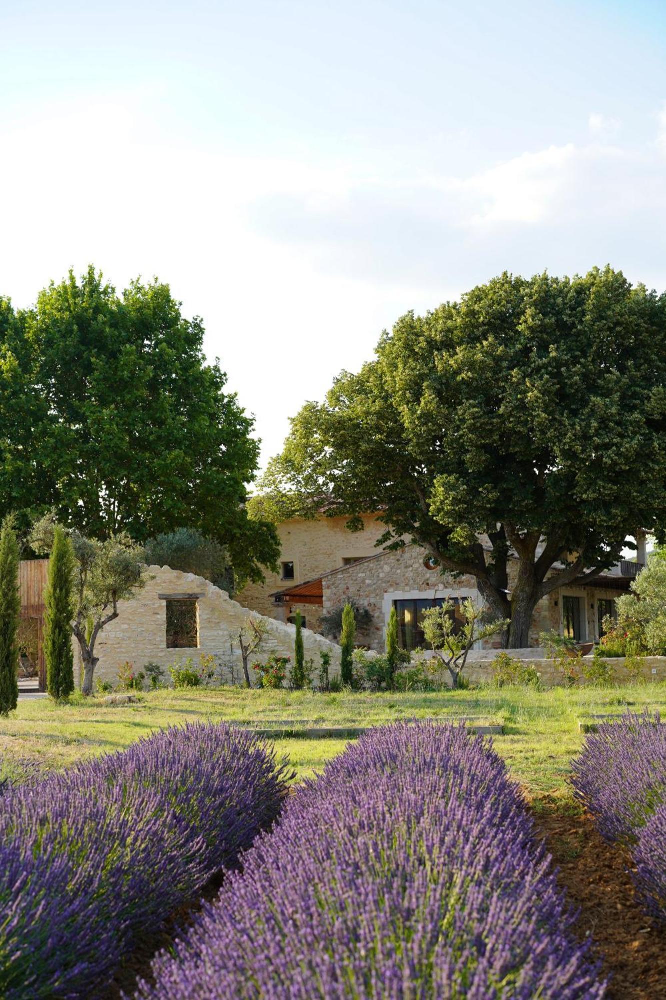 Ferienhaus Domaine D'egenia Roussillon en Isere